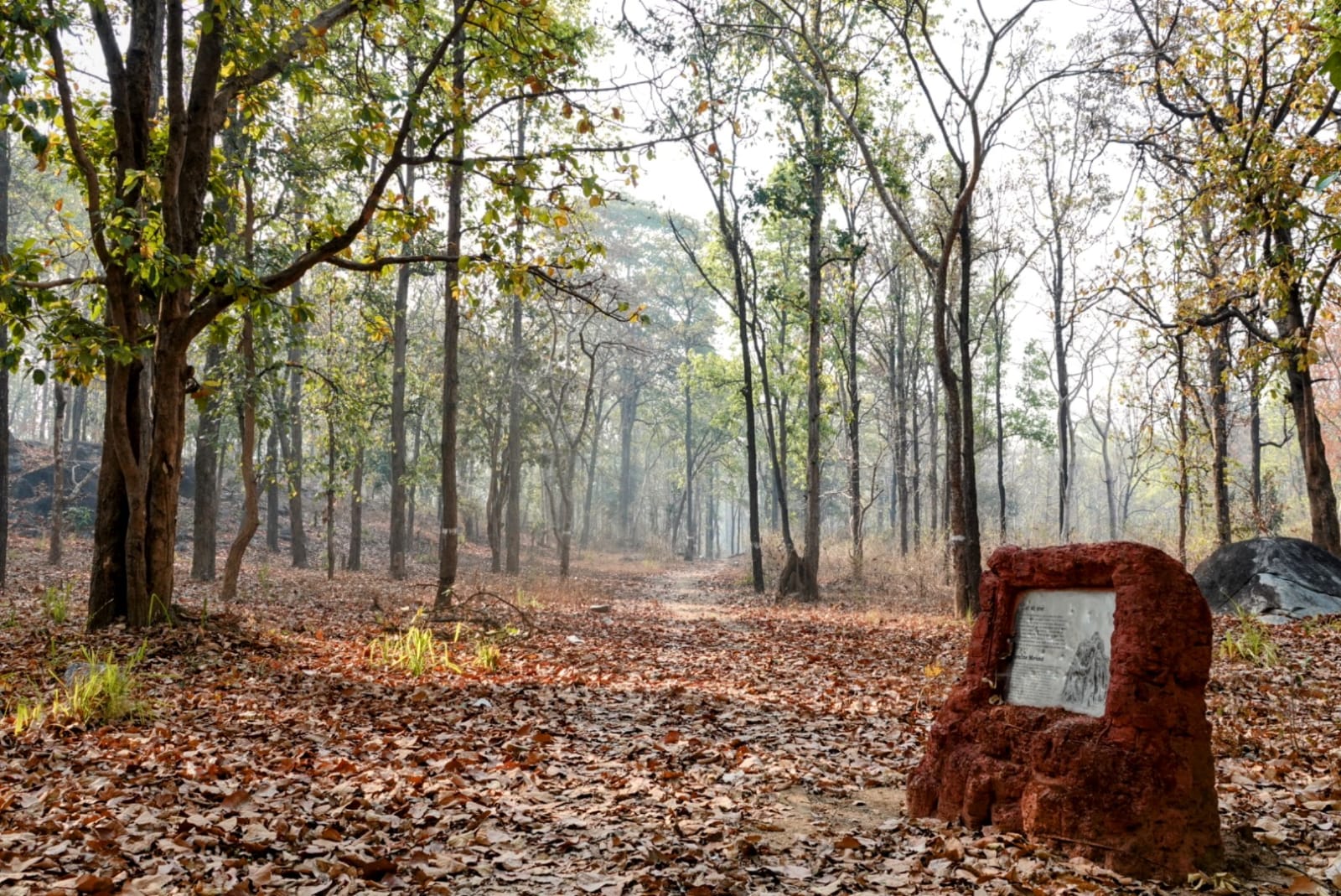 Nature Trail Khatiya