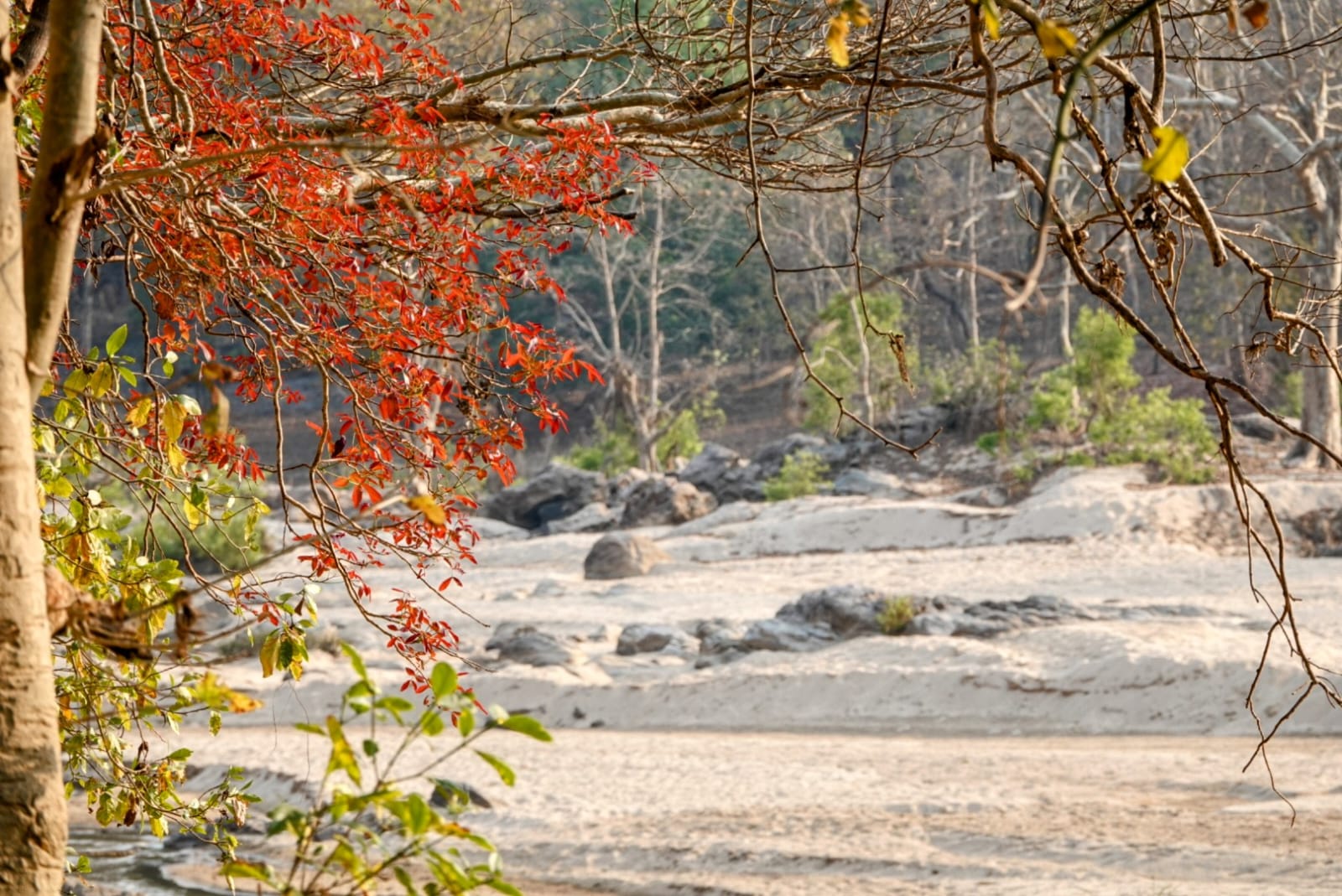 River Side Walk